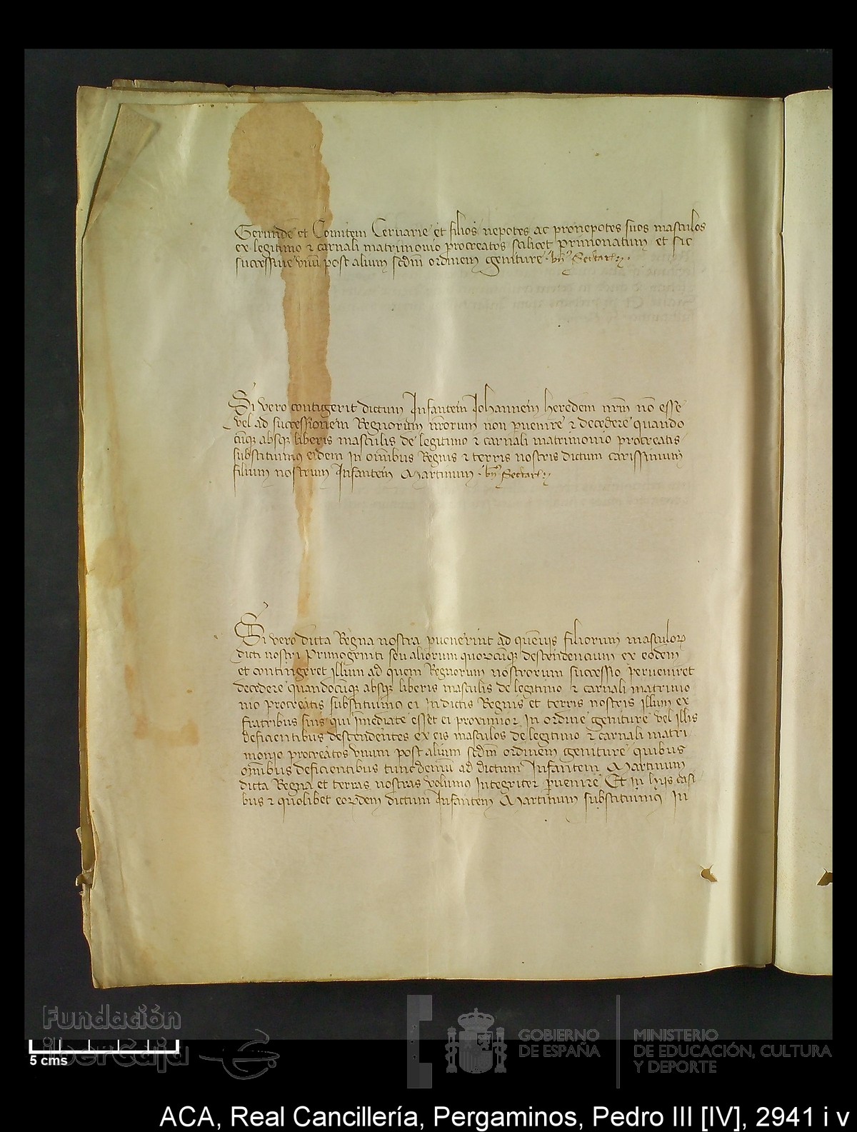 Carp.294,n�2941 i v