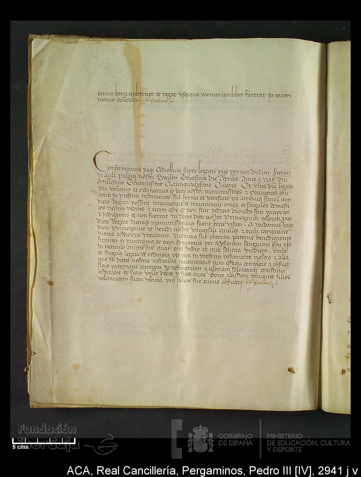 Carp.294,n�2941 j v