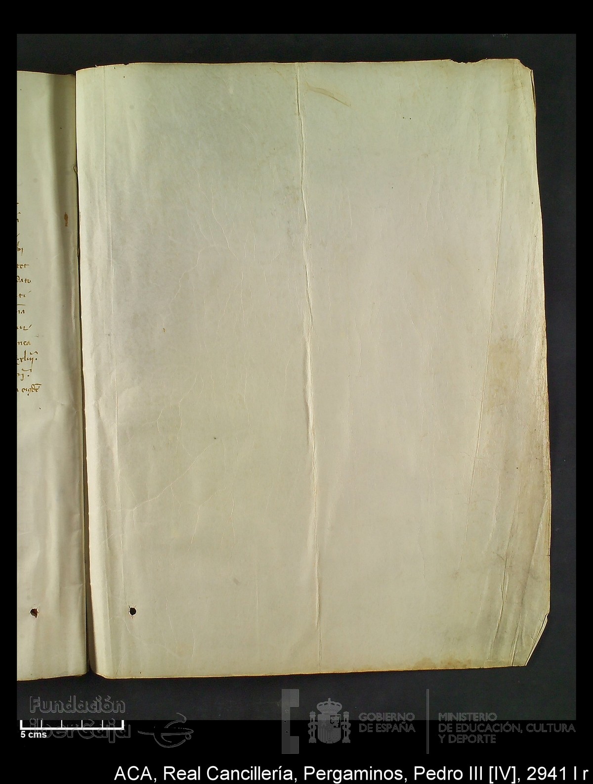 Carp.294,n�2941 l r