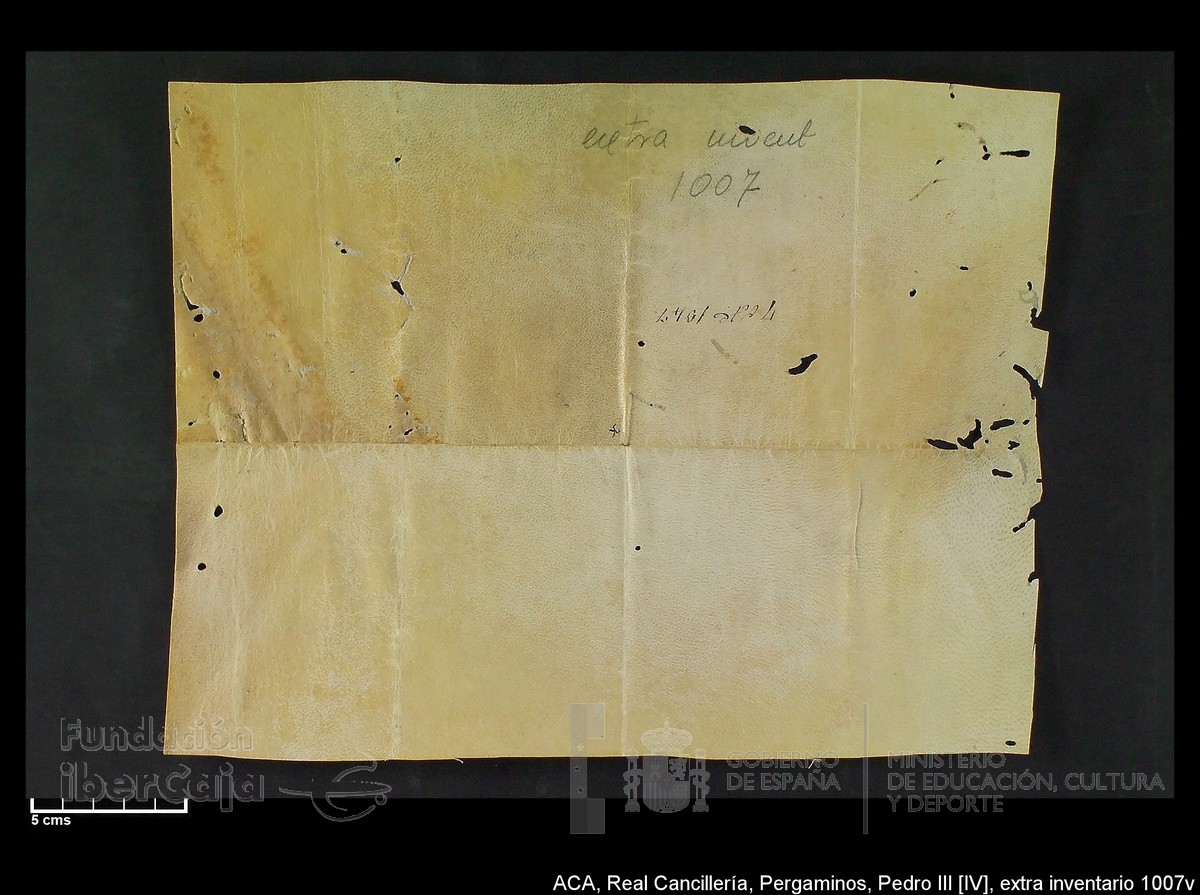 Carp.302, Extrainv.n1007v