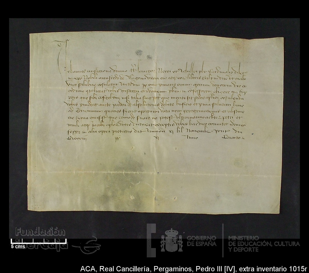 Carp.302, Extrainv.n�1015r