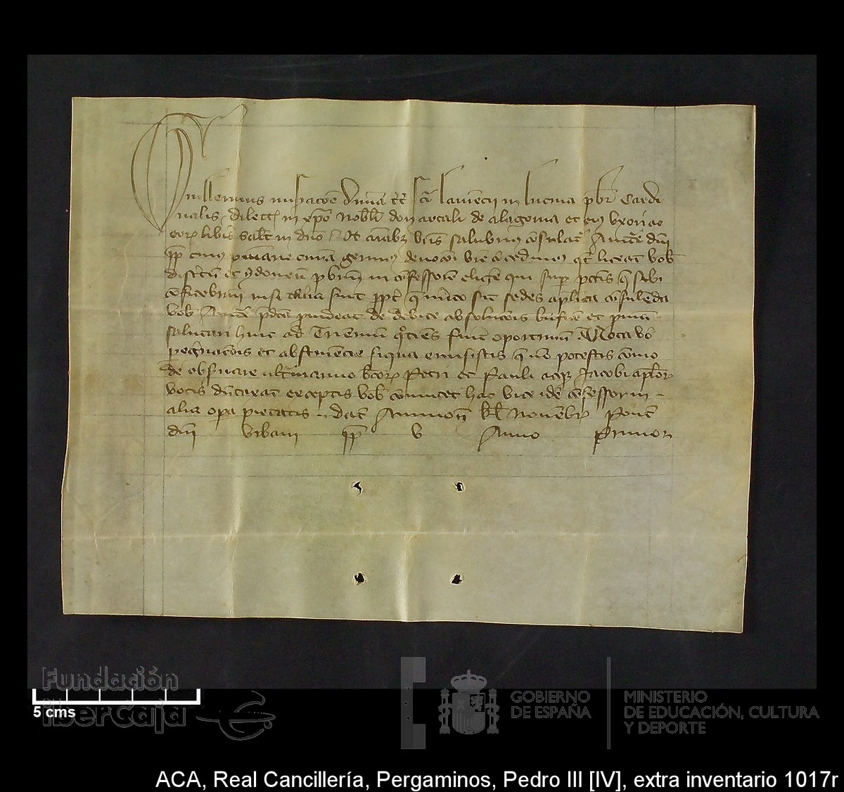 Carp.302, Extrainv.n�1017r