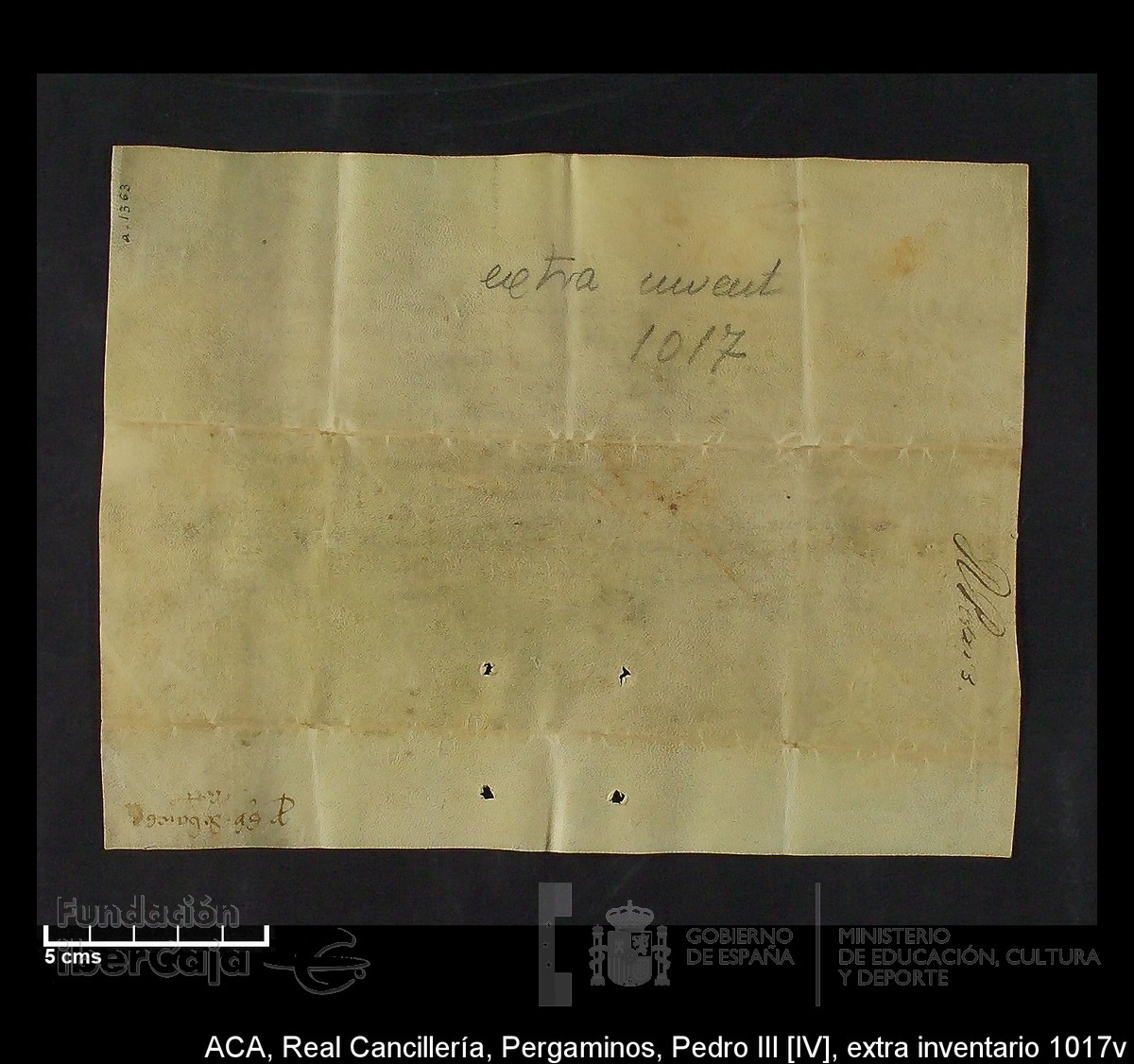 Carp.302, Extrainv.n�1017v