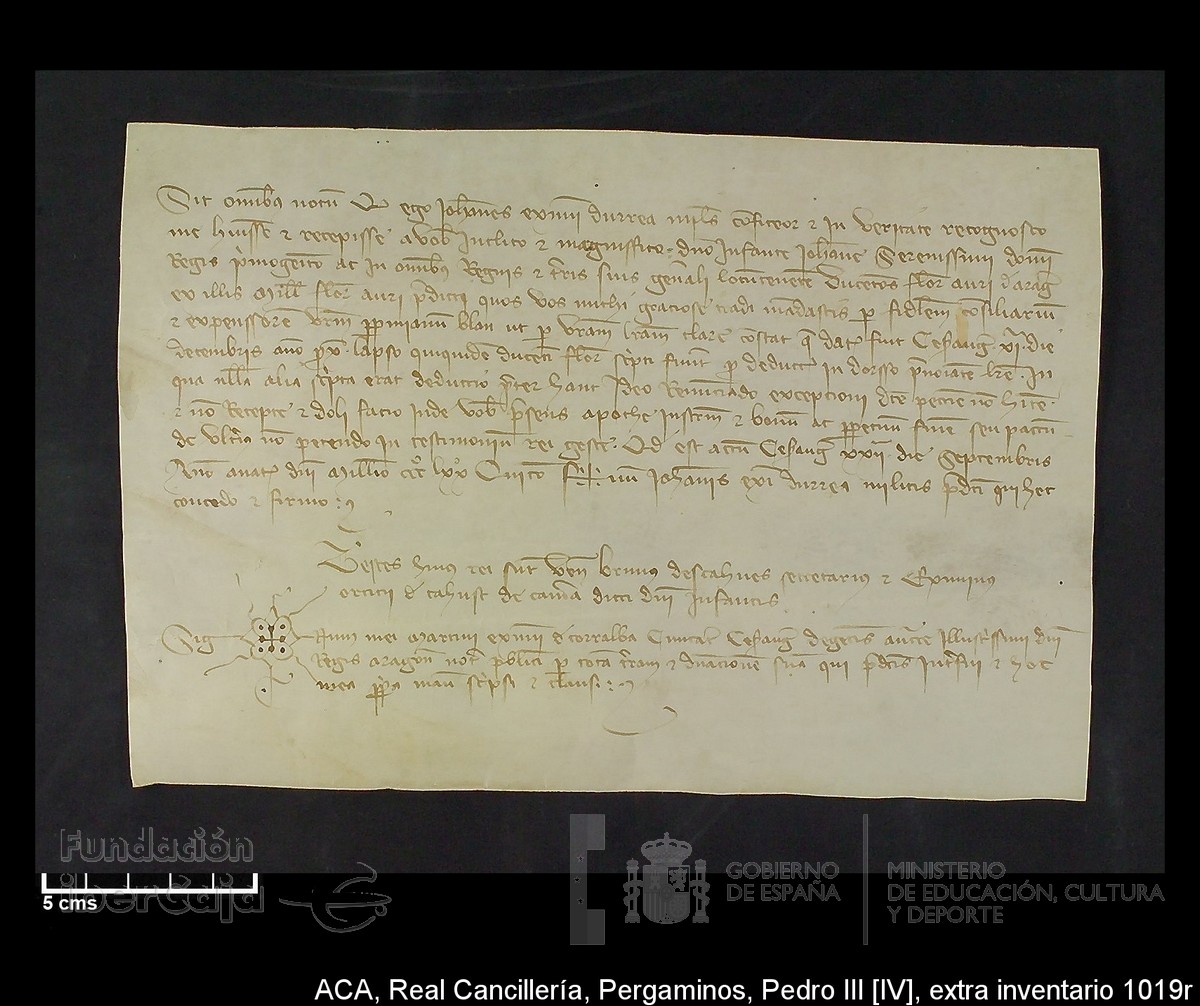 Carp.302, Extrainv.n�1019r