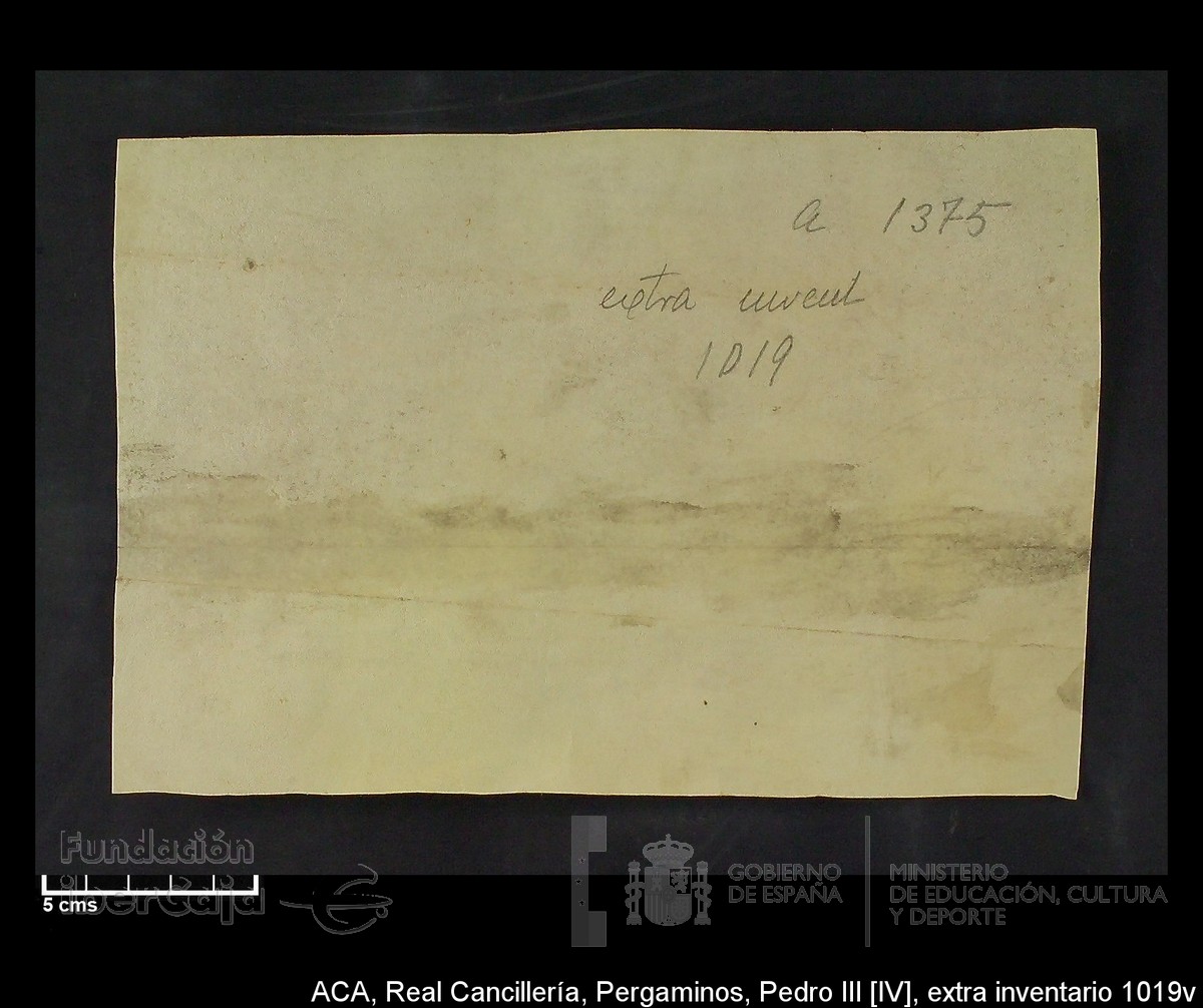 Carp.302, Extrainv.n�1019v