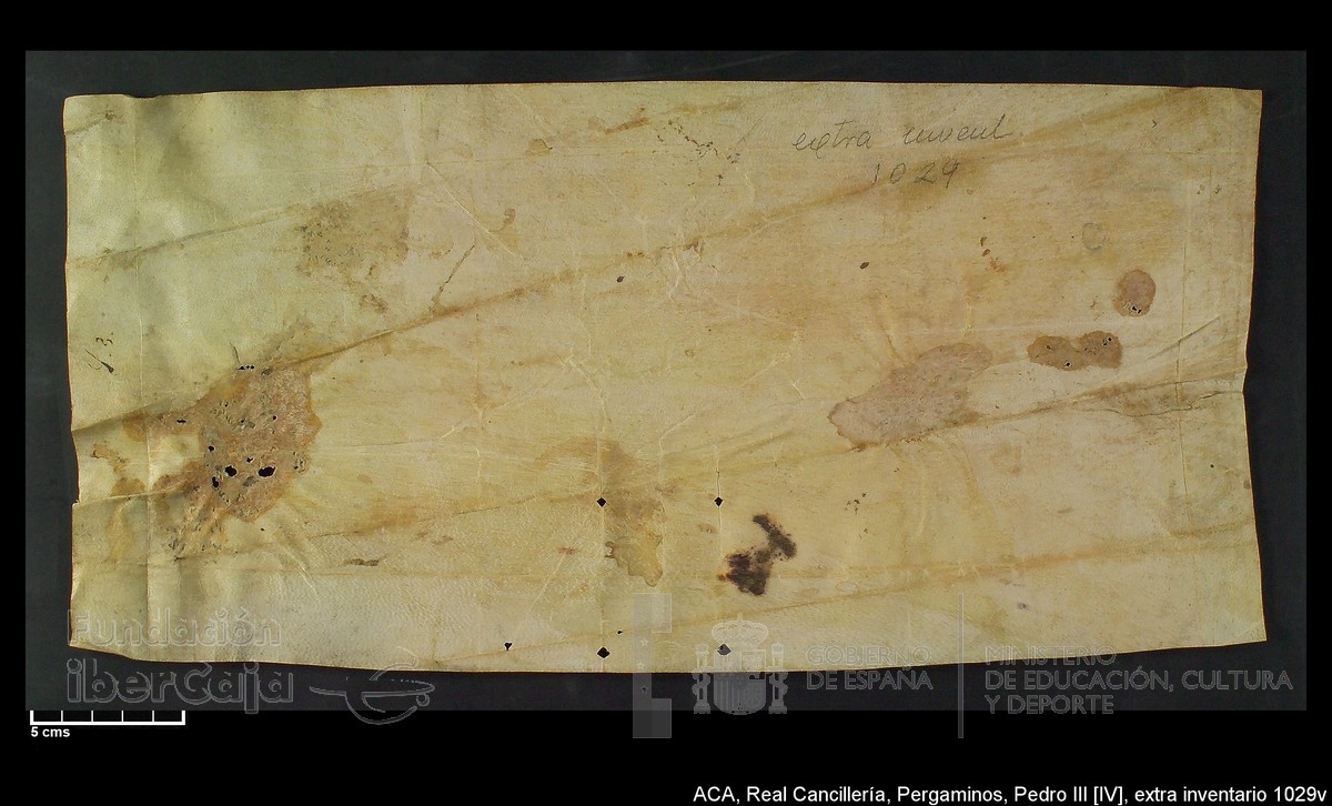 Carp.302, Extrainv.n�1029v