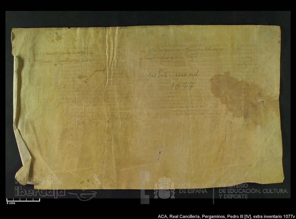 Carp.302, Extrainv.n�1077v