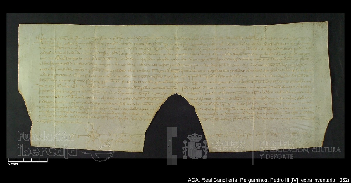 Carp.302, Extrainv.n�1082r