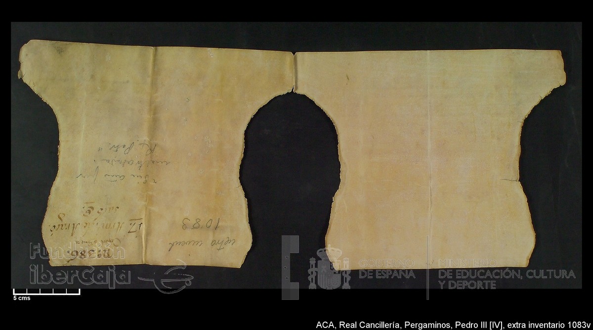 Carp.302, Extrainv.n�1083v