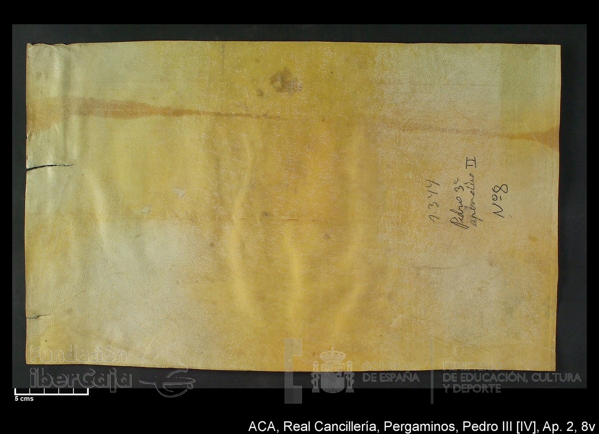 Carp.304,Ap�ndice_II,n�8v