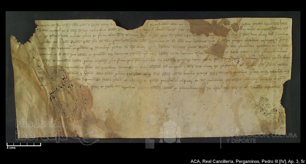 Carp.305,Ap�ndice_III,maltratados,n�5r