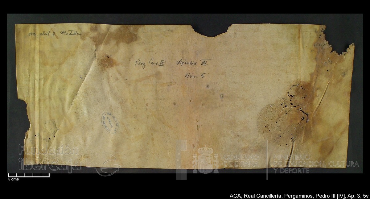 Carp.305,Ap�ndice_III,maltratados,n�5v