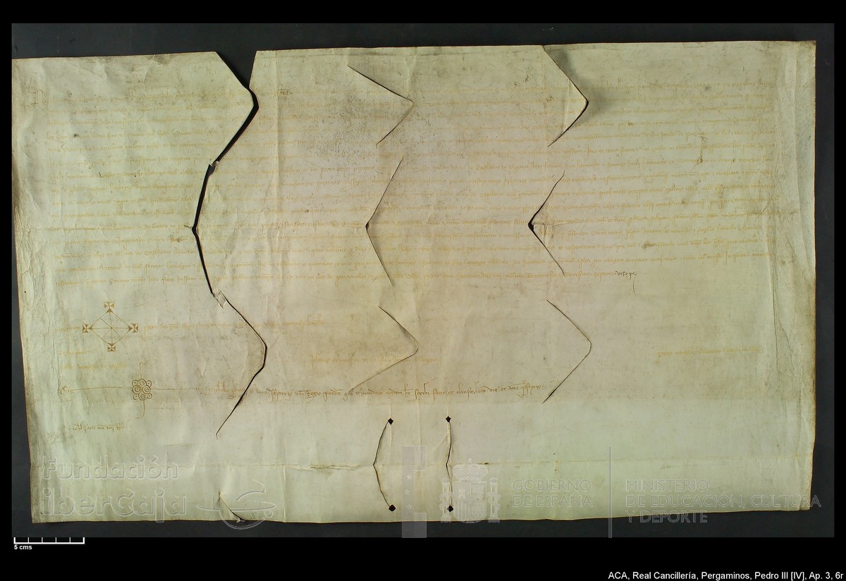 Carp.305,Ap�ndice_III,maltratados,n�6r