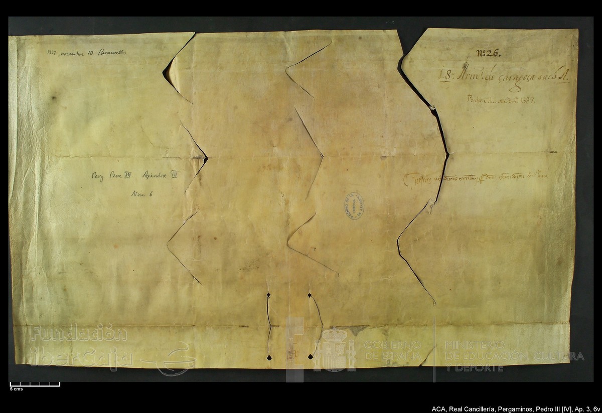 Carp.305,Ap�ndice_III,maltratados,n�6v