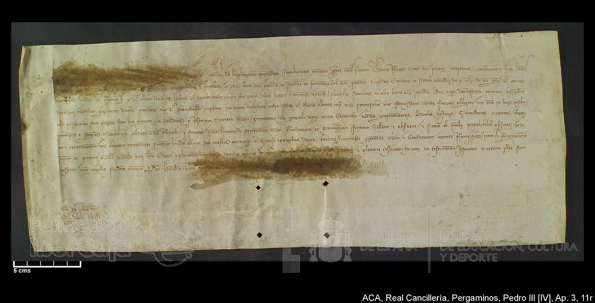 Carp.305,Ap�ndice_III,maltratados,n�11r