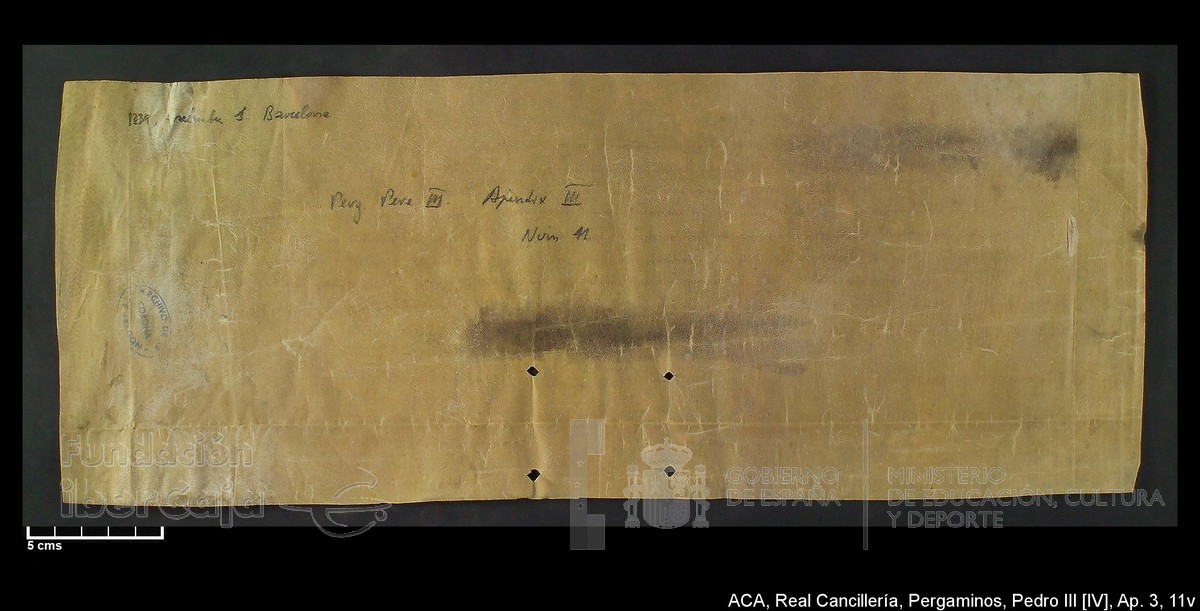 Carp.305,Ap�ndice_III,maltratados,n�11v