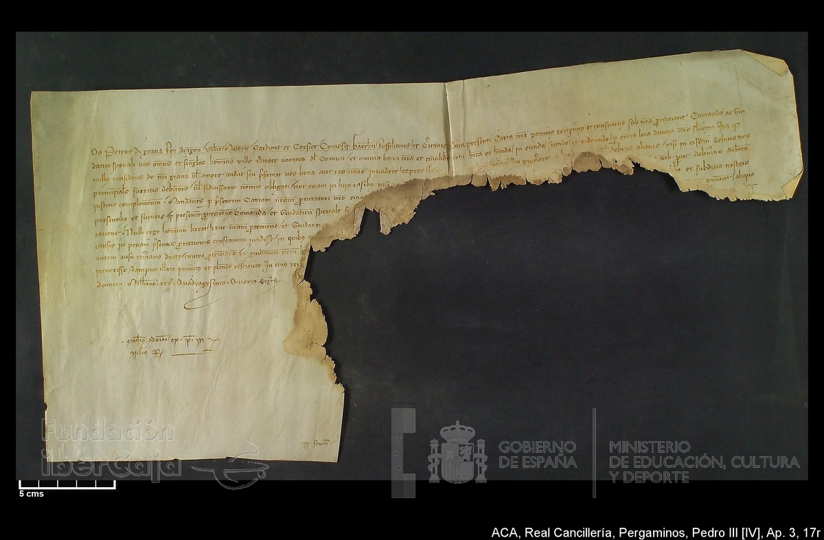 Carp.305,Ap�ndice_III,maltratados,n�17r