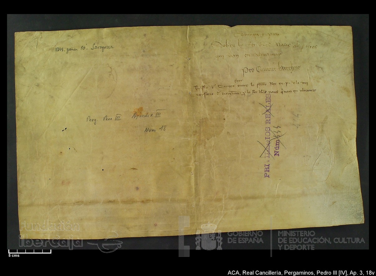 Carp.305,Ap�ndice_III,maltratados,n�18v