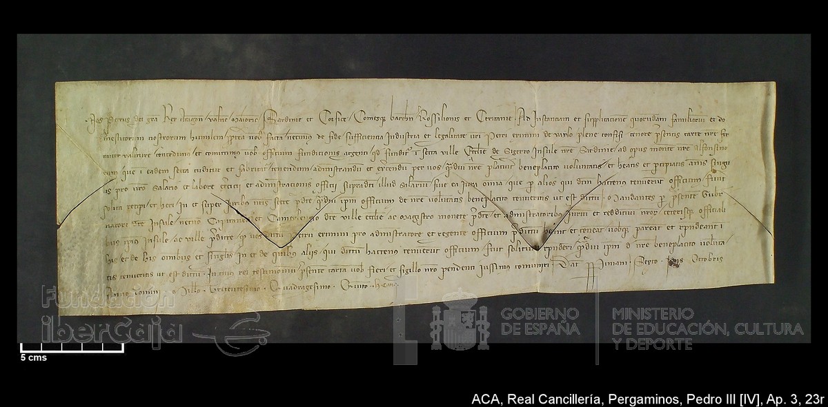 Carp.305,Ap�ndice_III,maltratados,n�23r