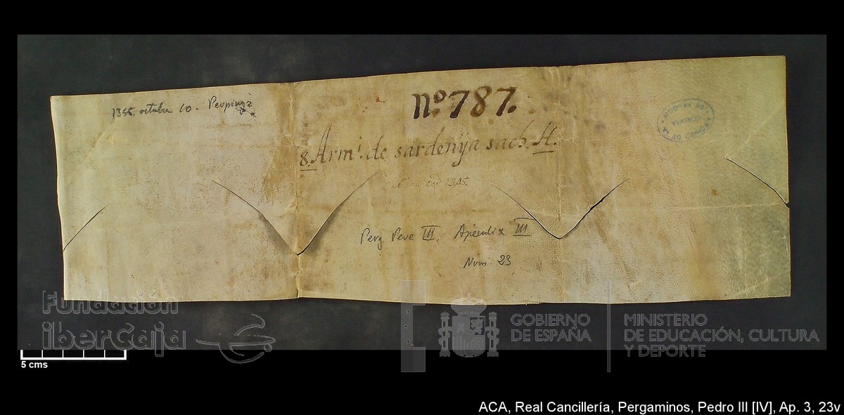 Carp.305,Ap�ndice_III,maltratados,n�23v