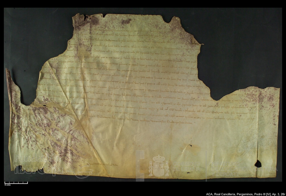 Carp.305,Ap�ndice_III,maltratados,n�26r