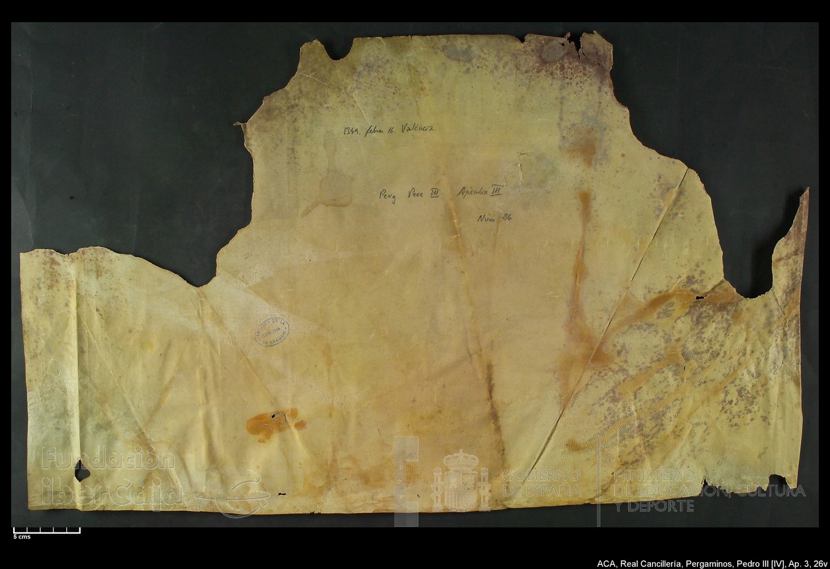 Carp.305,Ap�ndice_III,maltratados,n�26v