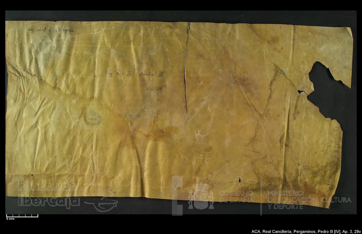 Carp.305,Ap�ndice_III,maltratados,n�29v