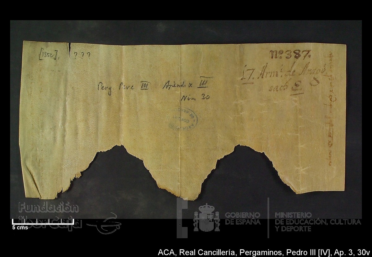 Carp.305,Apndice_III,maltratados,n30v