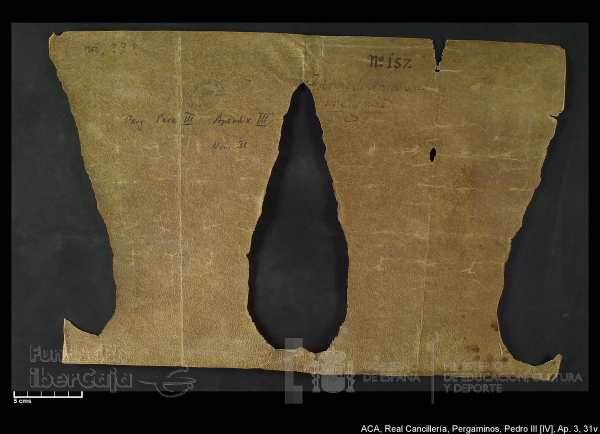 Carp.305,Ap�ndice_III,maltratados,n�31v