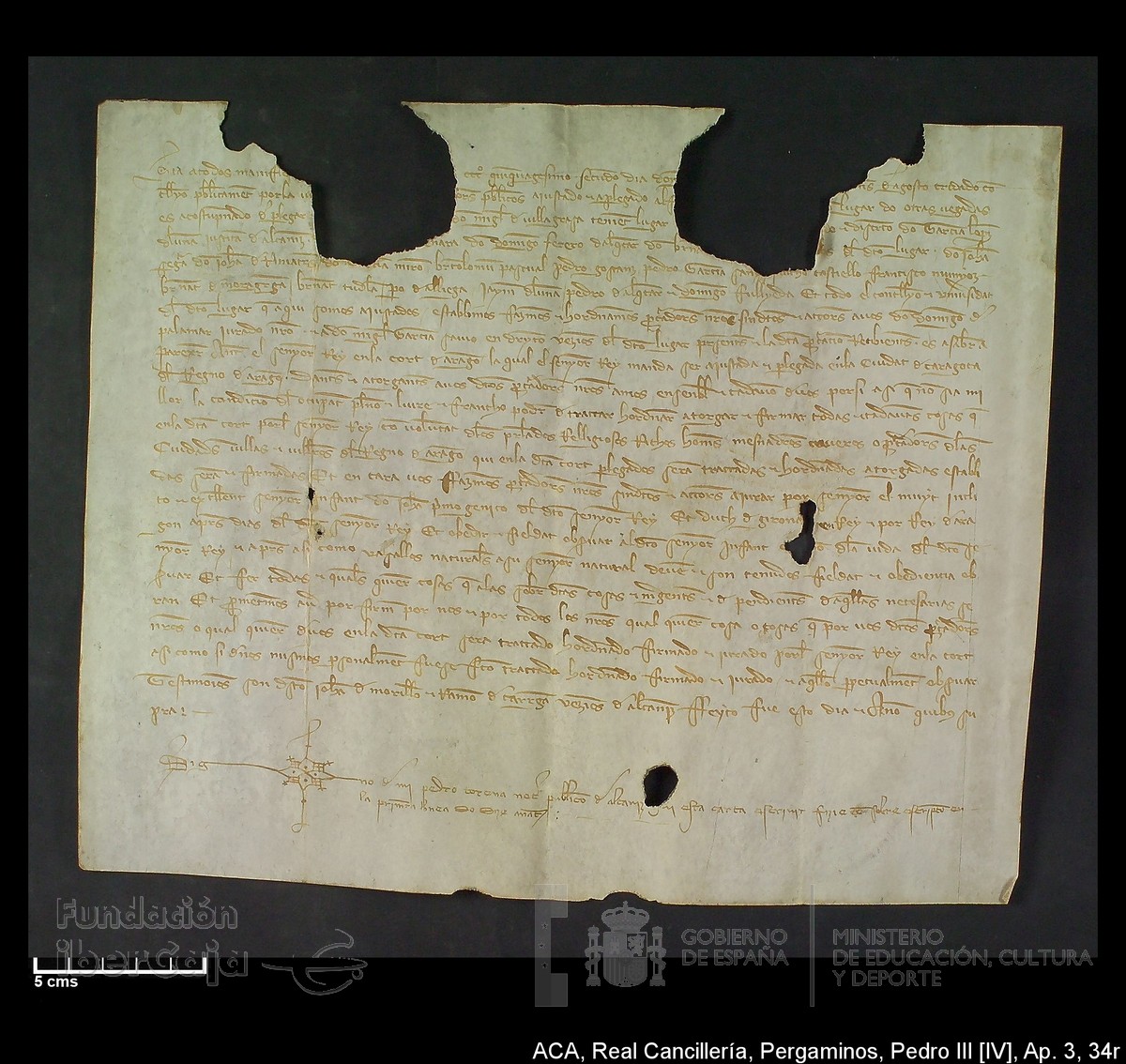 Carp.305,Apndice_III,maltratados,n34r