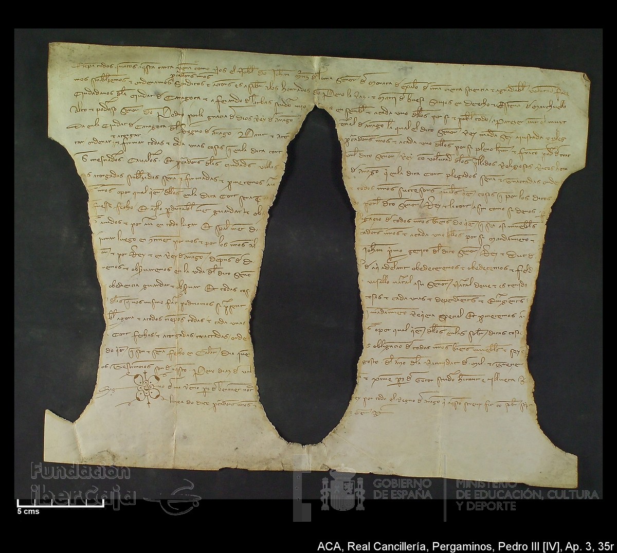 Carp.305,Apndice_III,maltratados,n35r