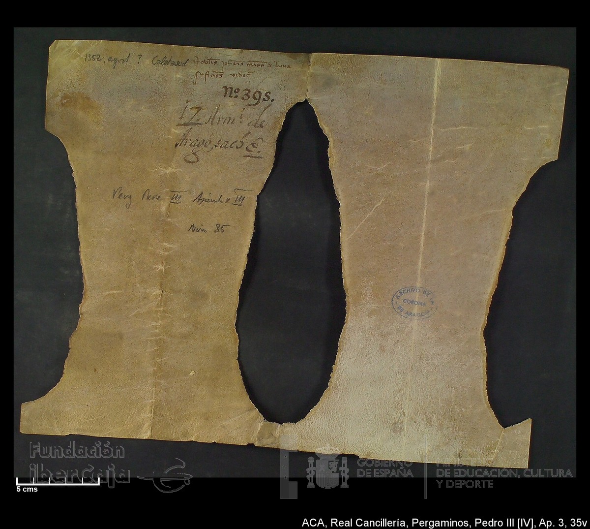 Carp.305,Apndice_III,maltratados,n35v