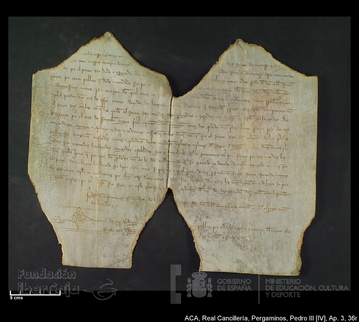 Carp.305,Ap�ndice_III,maltratados,n�36r