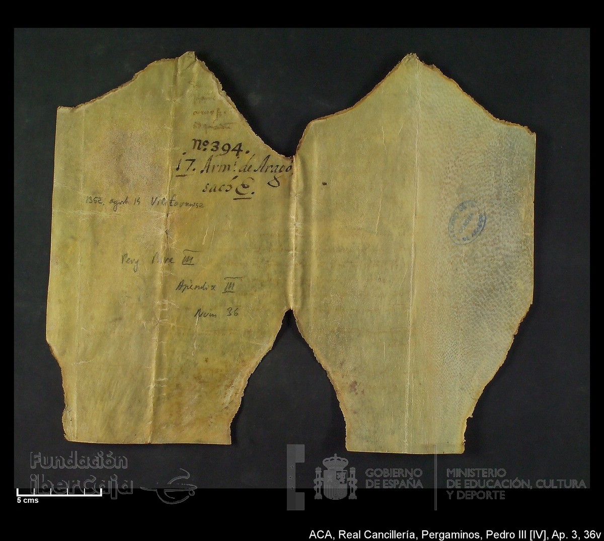 Carp.305,Ap�ndice_III,maltratados,n�36v