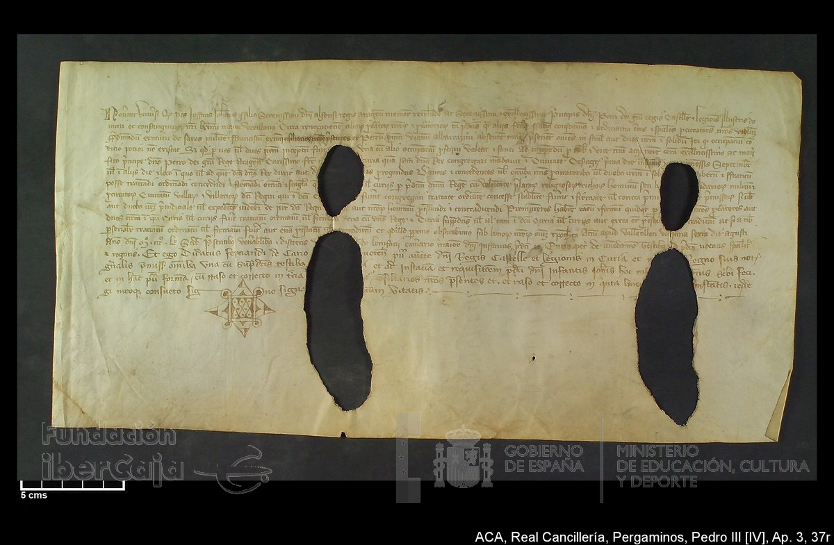 Carp.305,Ap�ndice_III,maltratados,n�37r