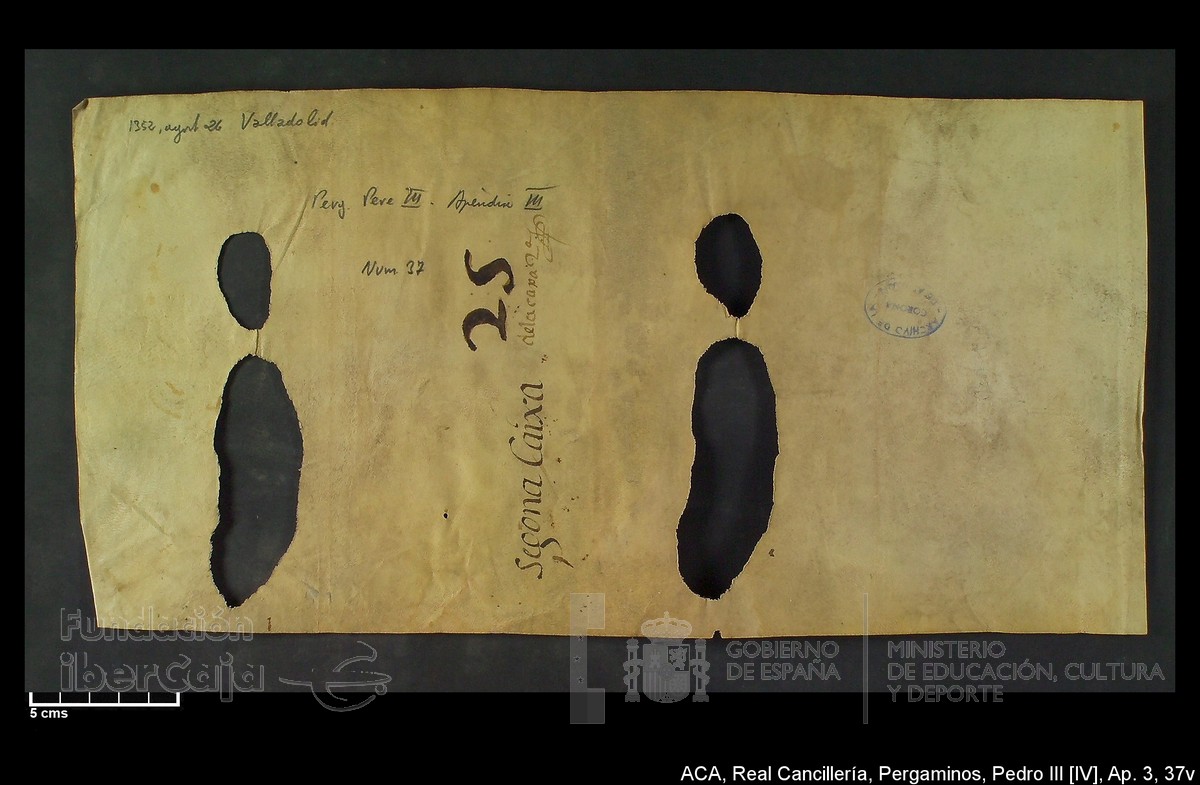 Carp.305,Ap�ndice_III,maltratados,n�37v