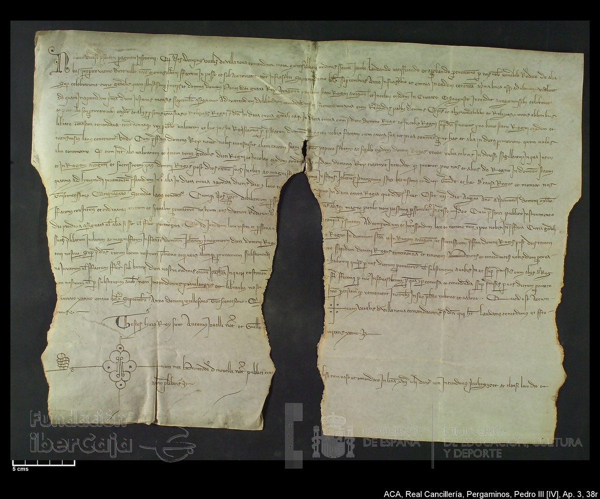 Carp.305,Ap�ndice_III,maltratados,n�38r