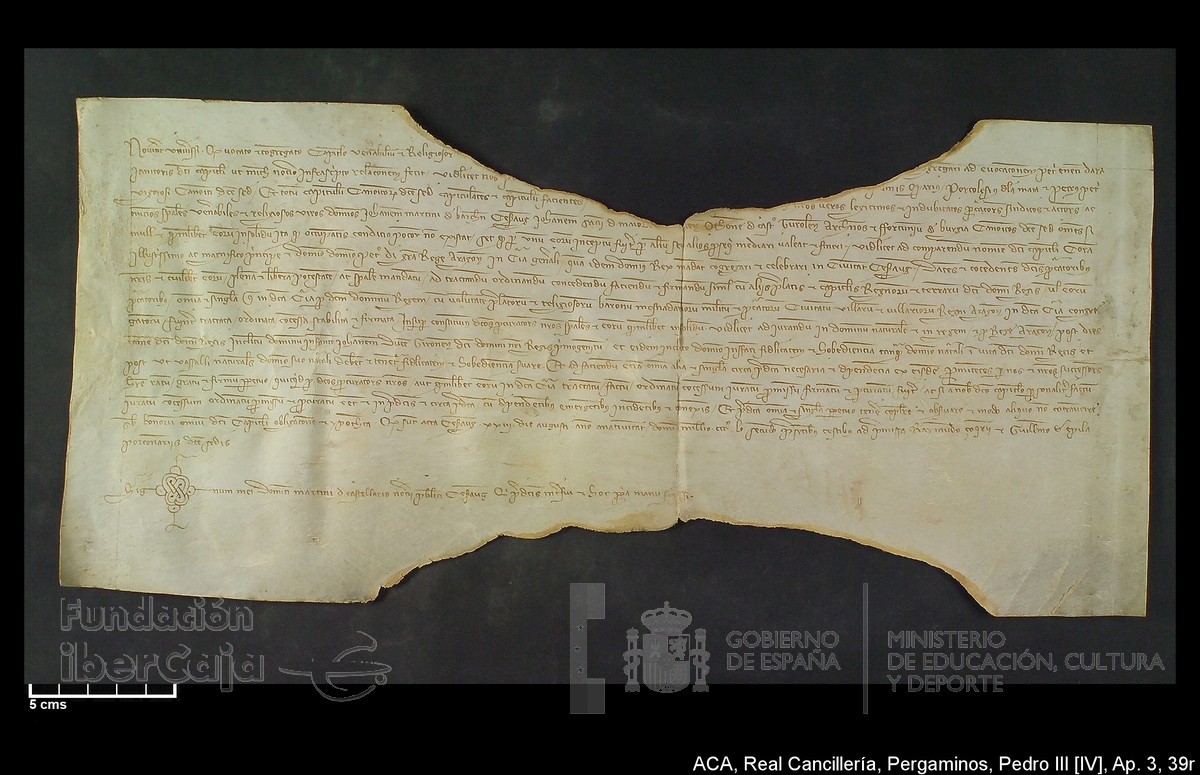 Carp.305,Ap�ndice_III,maltratados,n�39r