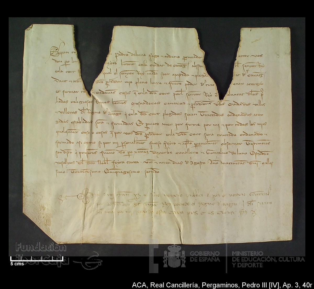 Carp.305,Apéndice_III,maltratados,nº40r