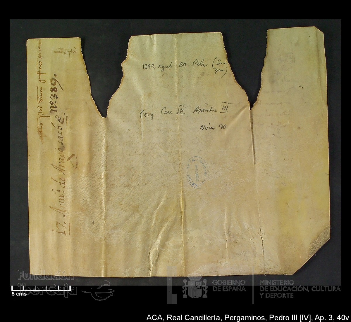 Carp.305,Apéndice_III,maltratados,nº40v