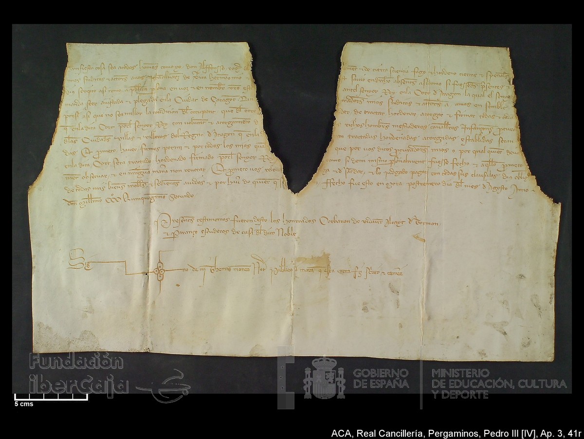 Carp.305,Apndice_III,maltratados,n41r