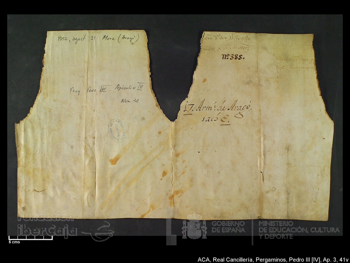 Carp.305,Apndice_III,maltratados,n41v