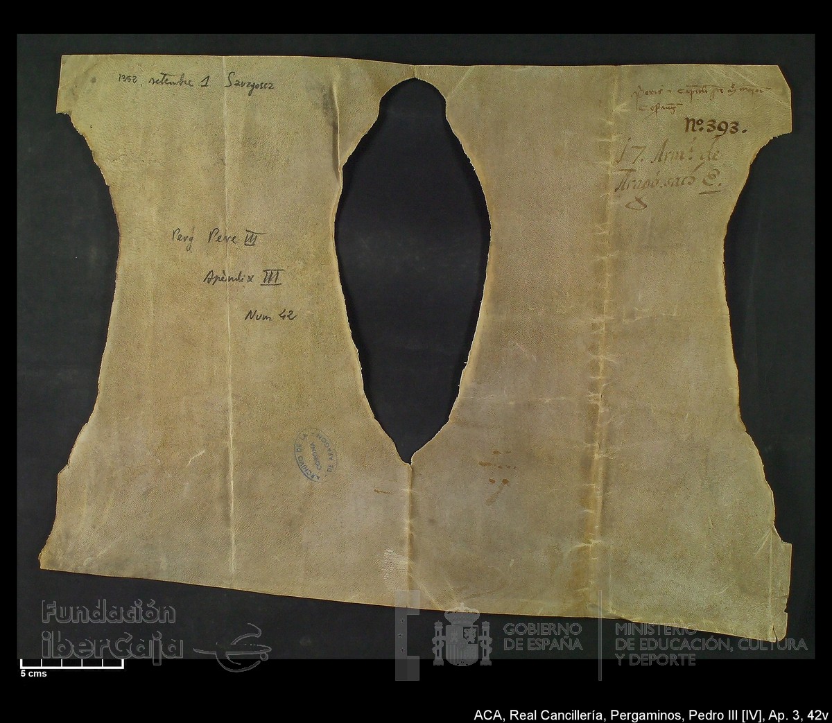 Carp.305,Ap�ndice_III,maltratados,n�42v