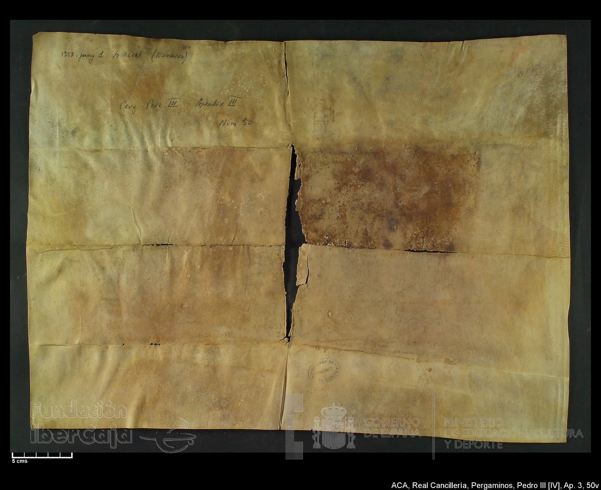 Carp.305,Ap�ndice_III,maltratados,n�50v