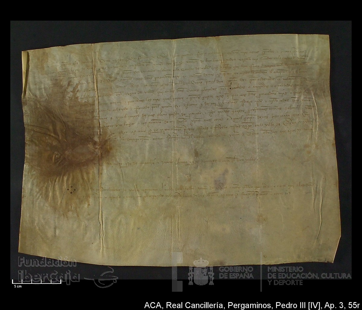 Carp.305,Ap�ndice_III,maltratados,n�55r