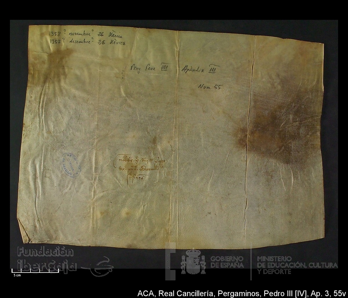 Carp.305,Ap�ndice_III,maltratados,n�55v