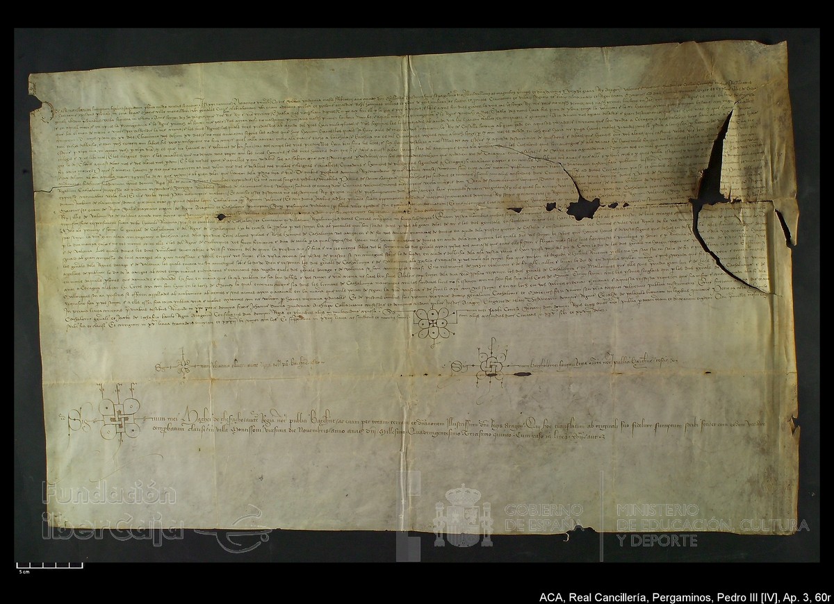 Carp.305,Ap�ndice_III,maltratados,n�60r