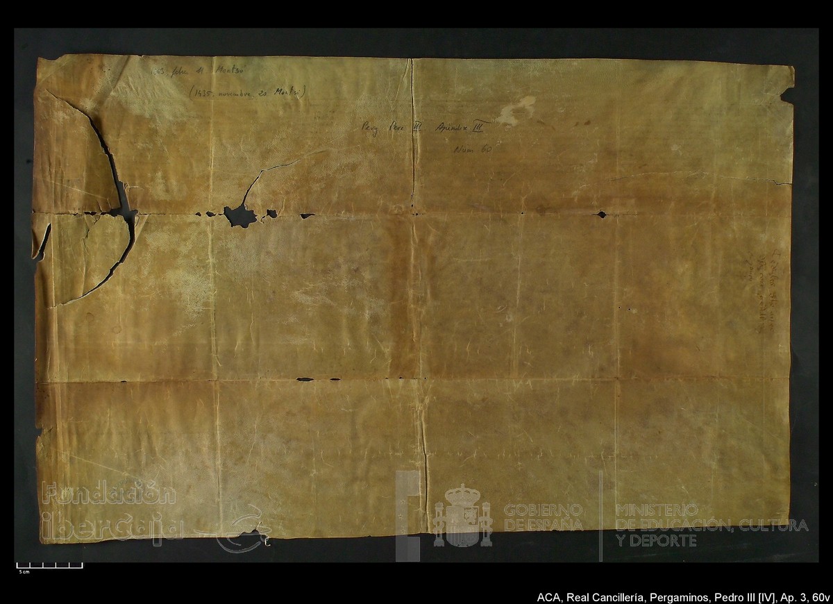 Carp.305,Ap�ndice_III,maltratados,n�60v