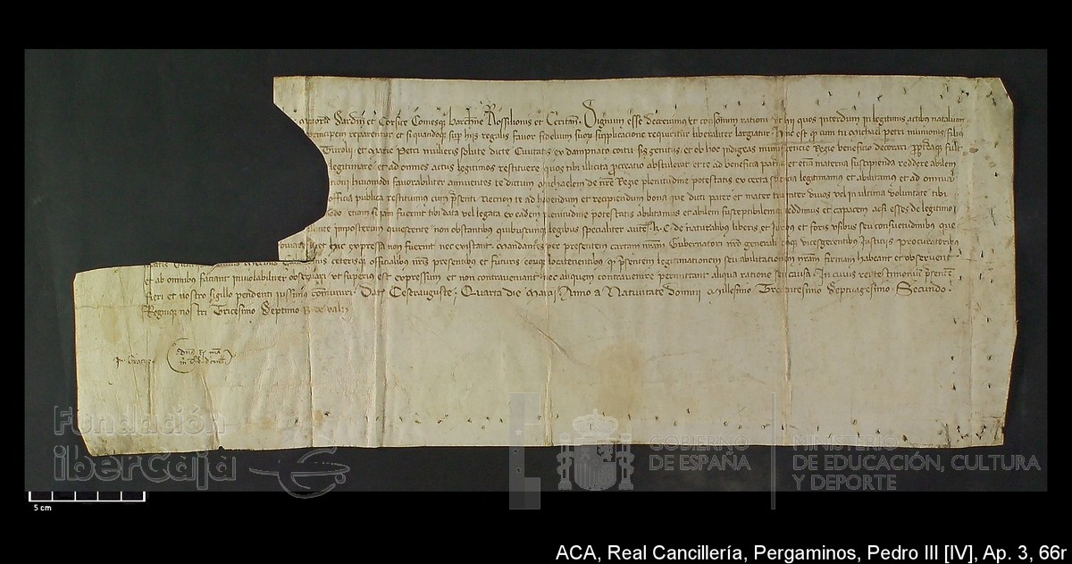 Carp.305,Ap�ndice_III,maltratados,n�66r