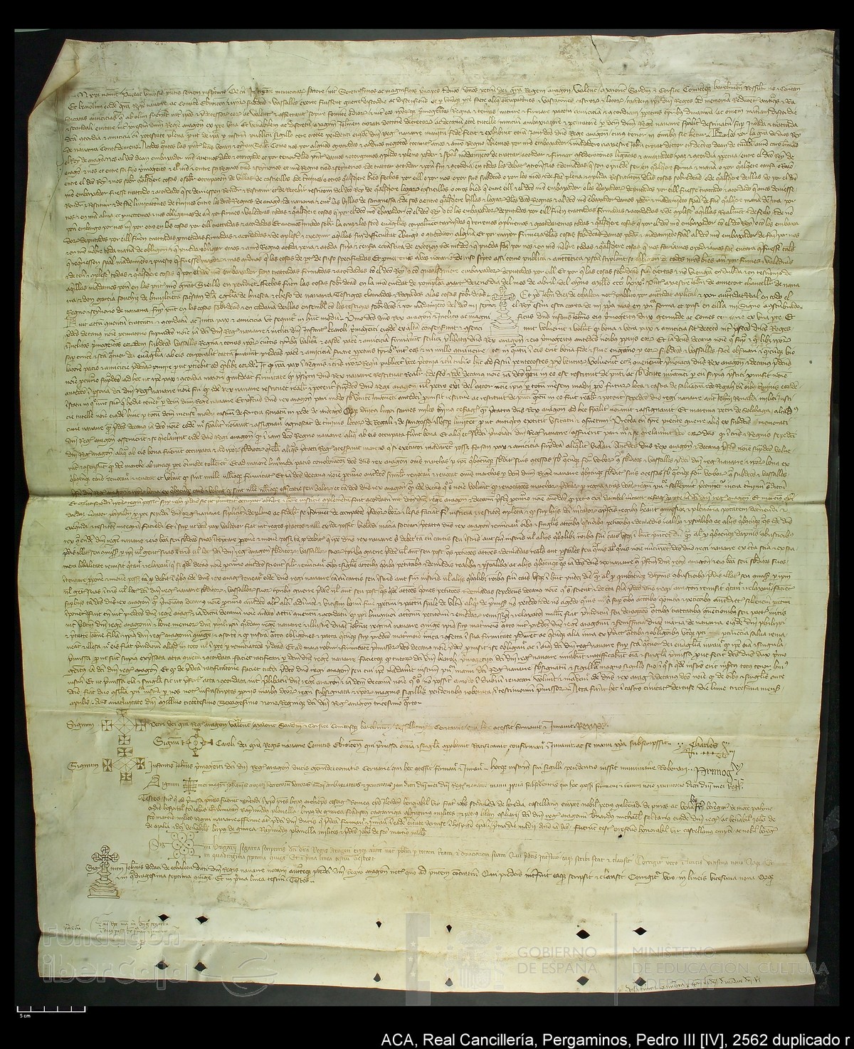 Carp.287,n�2562 dupl r